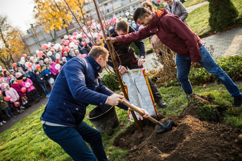 Niepodległościowe drzewo przy SP3 zasadzone (foto)